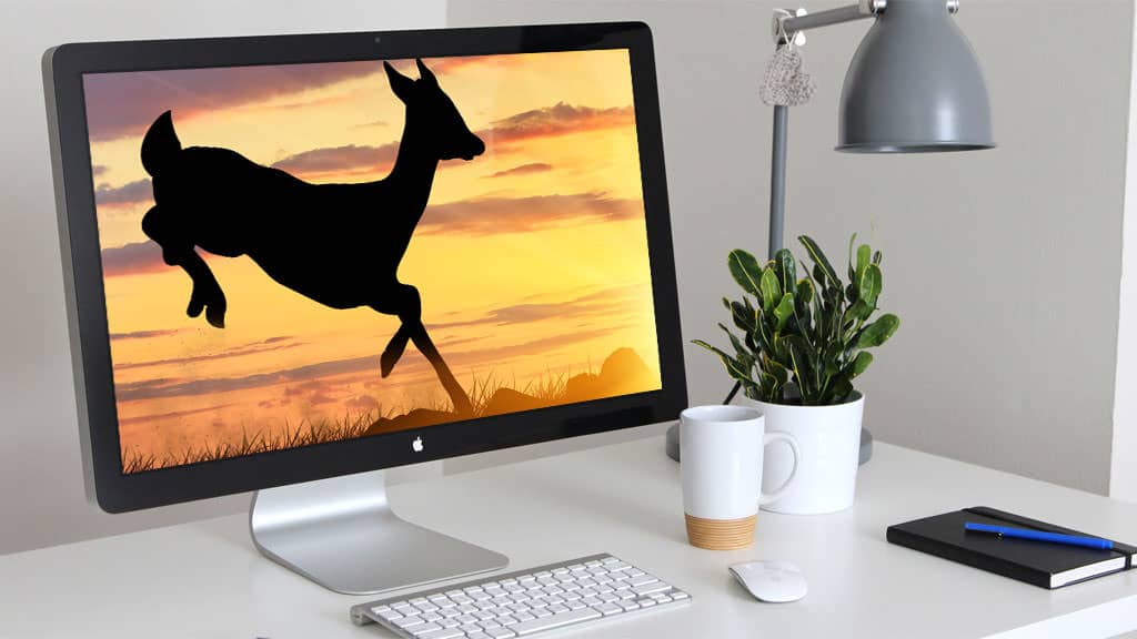 So schützen Sie Ihre Website!