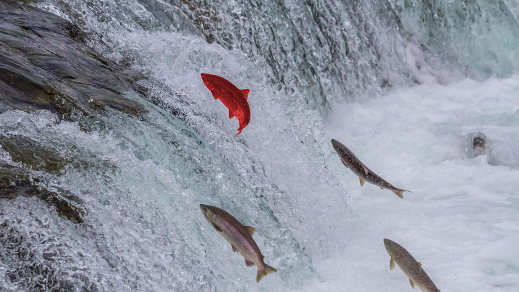 Bei Google auf Platz 1?